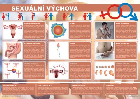 SEXUÁLNÍ VÝCHOVA
